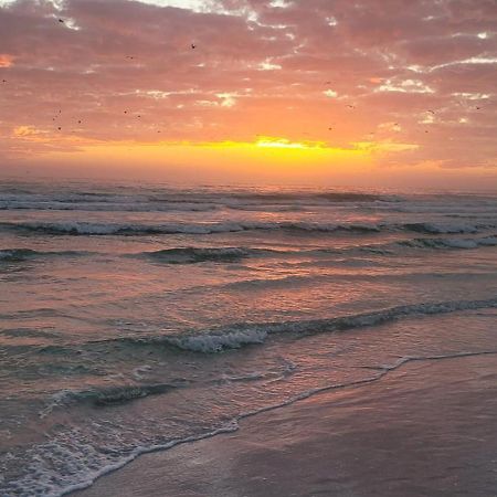 Siesta Key Condo - On The Water ! Exterior foto