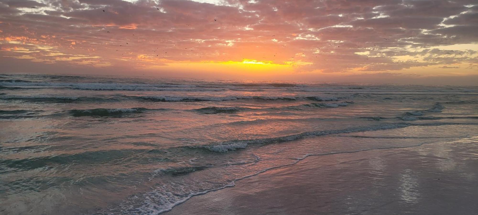 Siesta Key Condo - On The Water ! Exterior foto