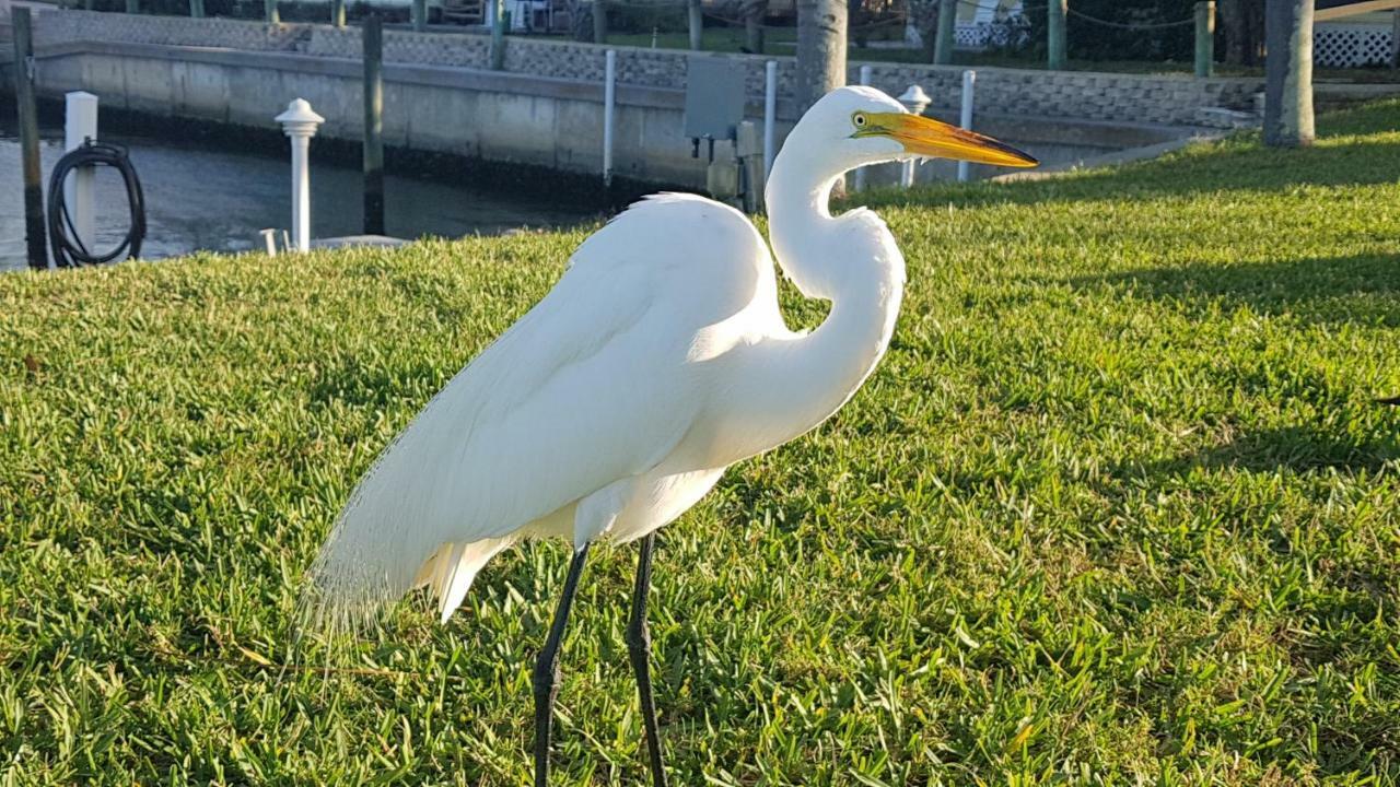 Siesta Key Condo - On The Water ! Exterior foto